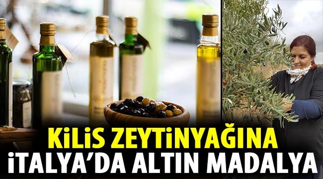 Kilis zeytinyağına İtalya’da altın madalya 