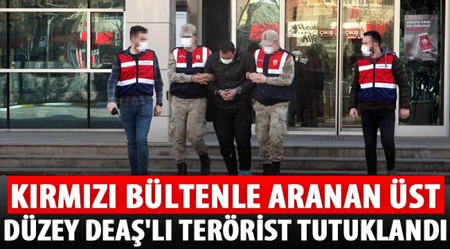 Kırmızı bültenle aranan üst düzey DEAŞ'lı terörist tutuklandı 