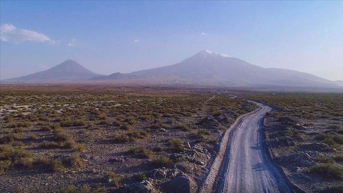 Kökleriyle toprağı tutan ebucehil çalısı Iğdır'da kum fırtınasına da set oldu