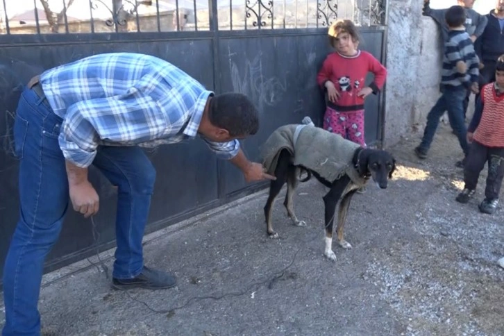 Köpek yumurtaları yedi, tüfek, taş ve sopalar konuştu: 3 yaralı