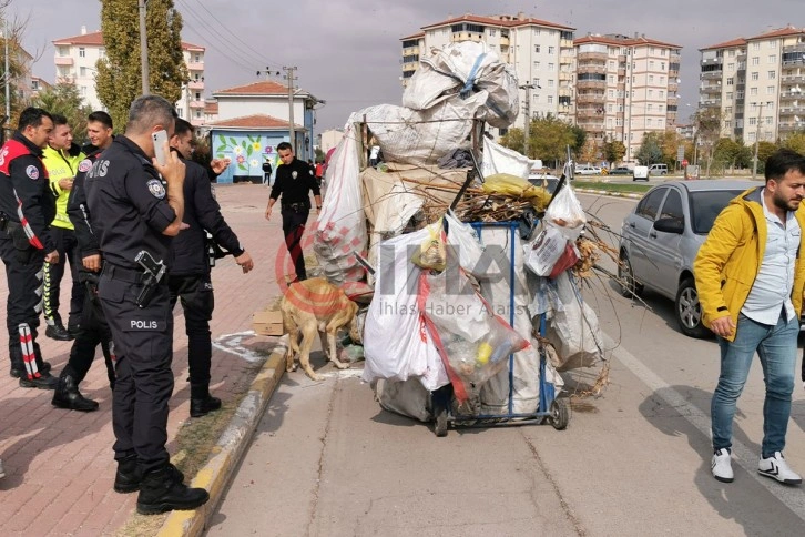 Köpekleri çuvala koydu, müdahale eden polise saldırdı