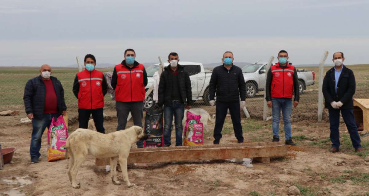 Köpekleriyle köyünden kovulan engelli gence Vali Aydoğdu sahip çıktı