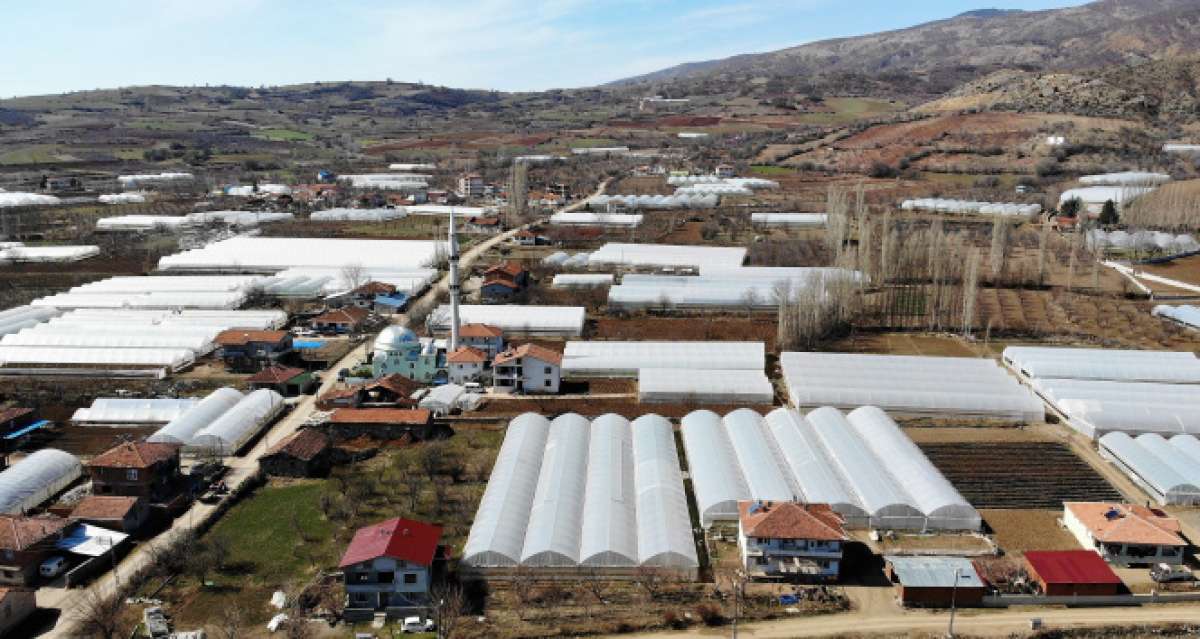 'Küçük Antalya' olarak anılıyor, köyün tamamına yakını sera ile kaplı