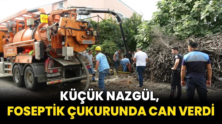 Küçük Nazgül, foseptik çukurunda can verdi