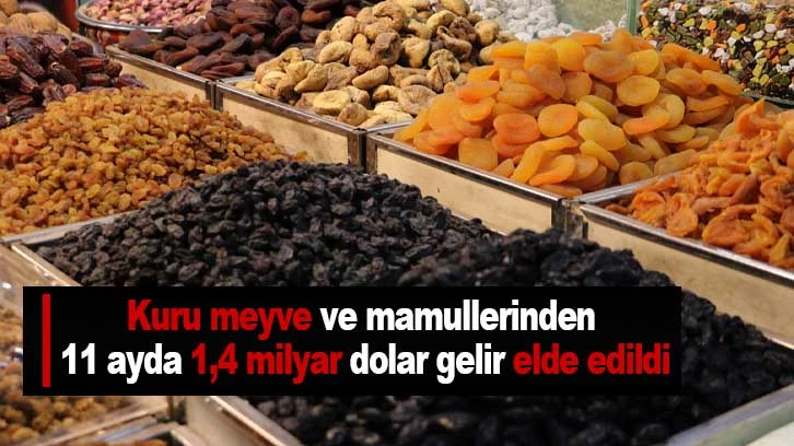 Kuru meyve ve mamullerinden 11 ayda 1,4 milyar dolar gelir elde edildi