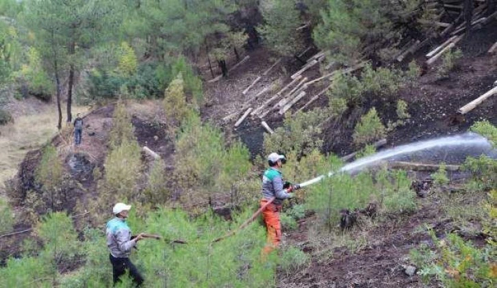 Kütahya'daki orman yangınında 4 hektar alan zarar gördü