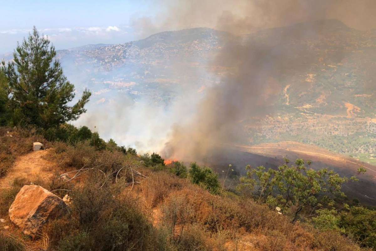 Lübnan'da ormanlık alanda yangın