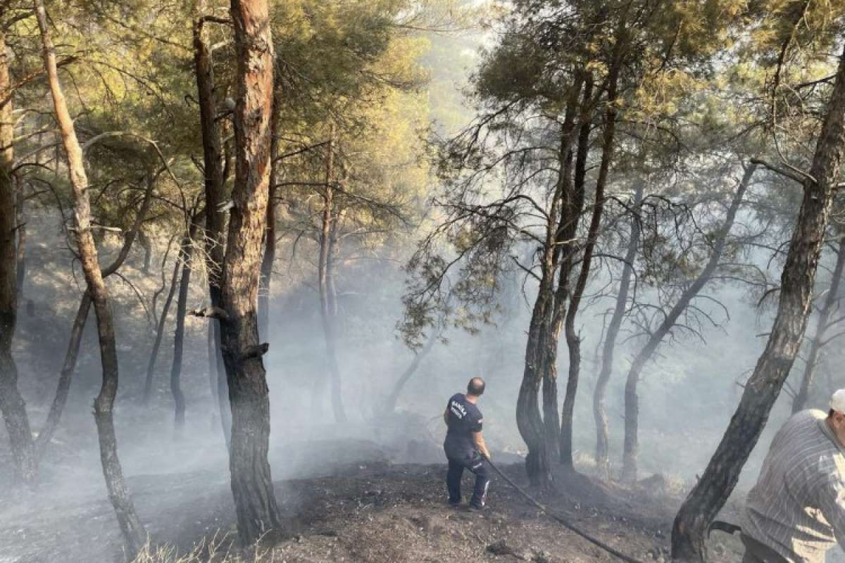 Manisa Büyükşehir Selçikli yangını için seferber oldu