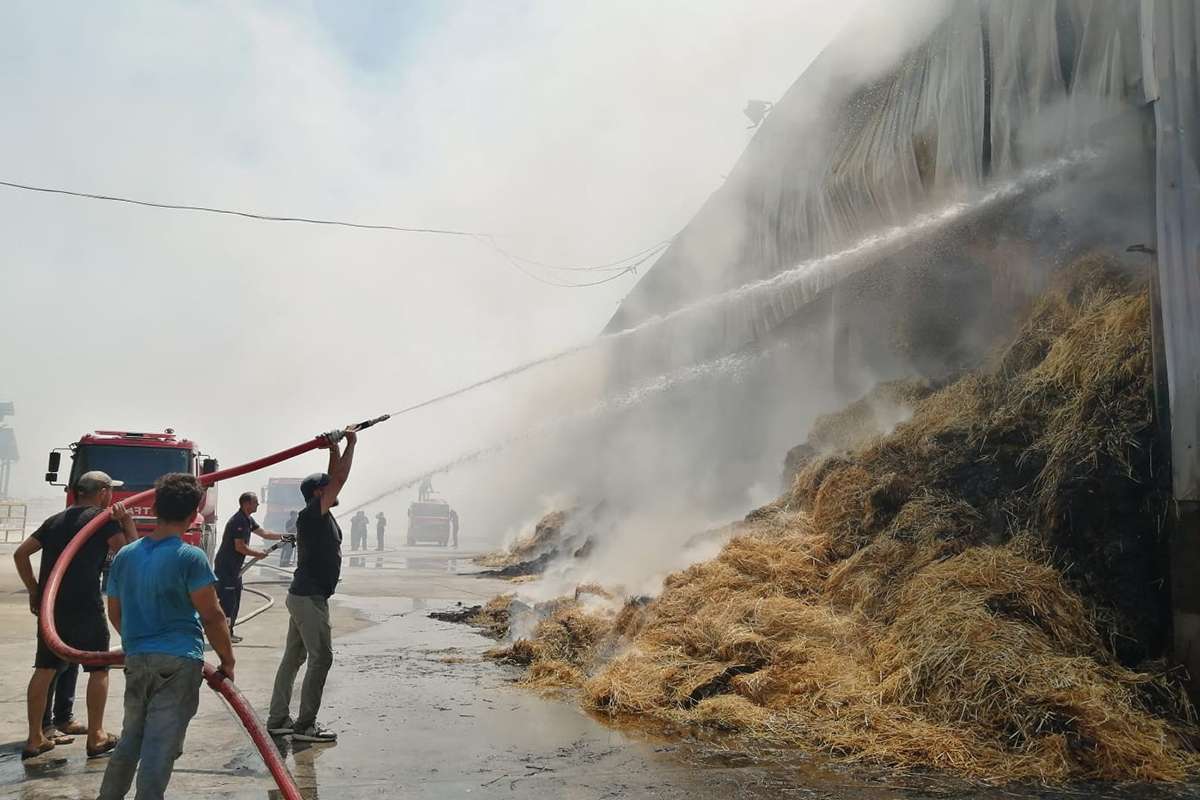 Manisa'da 150 ton saman yangında küle döndü