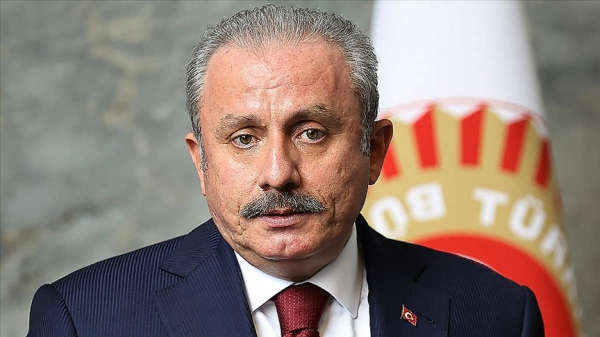 'Mareşal Fevzi Paşa ordunun politikaya karışmasına asla razı değildi'