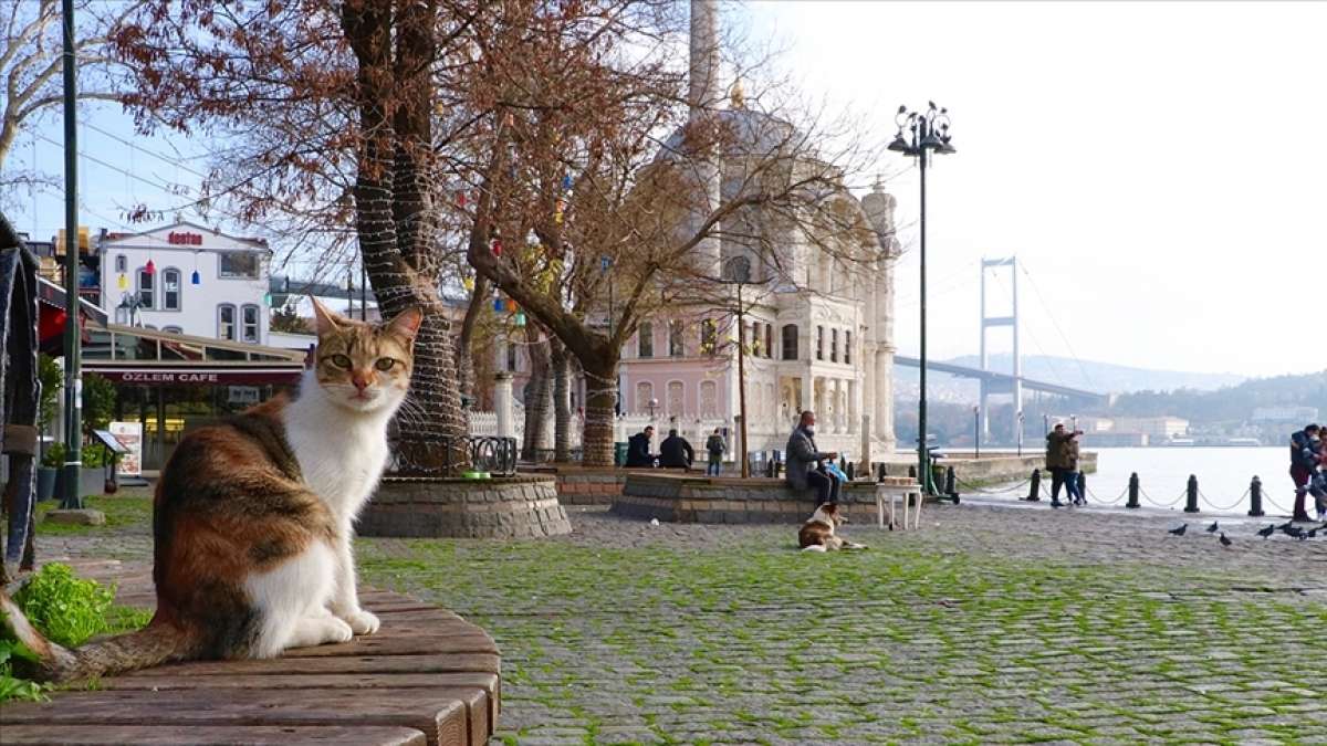 Marmara Bölgesi'nde hava sıcaklığının mevsim normallerinin üzerinde olması bekleniyor