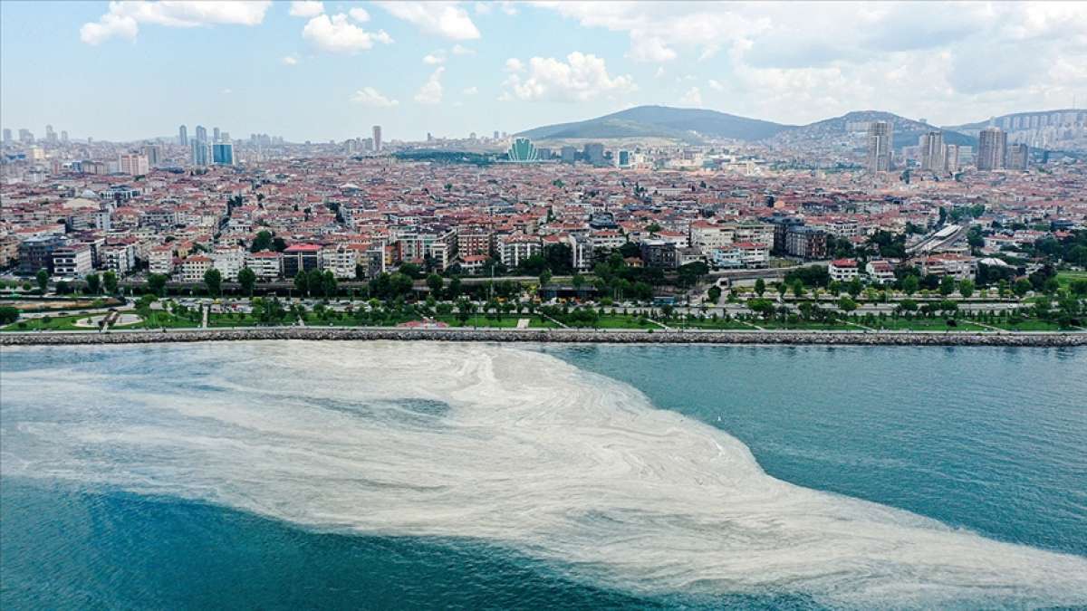 Marmara Denizi'ndeki müsilaj sorununa acil çözüm için bilim insanları YÖK'te toplanacak