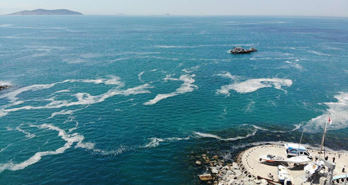 Marmara Denizi'ndeki müsilajı araştırmak için komisyon kurulmasına karar verildi