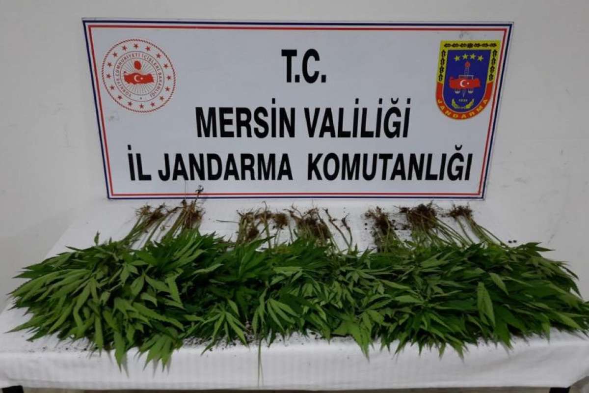 Mersin'de uyuşturucu operasyonu: 7 gözaltı