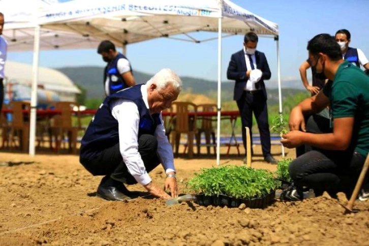 Muğla'da 39 il ve 2 ülkenin toprak, bitki ve su analizi yapıldı