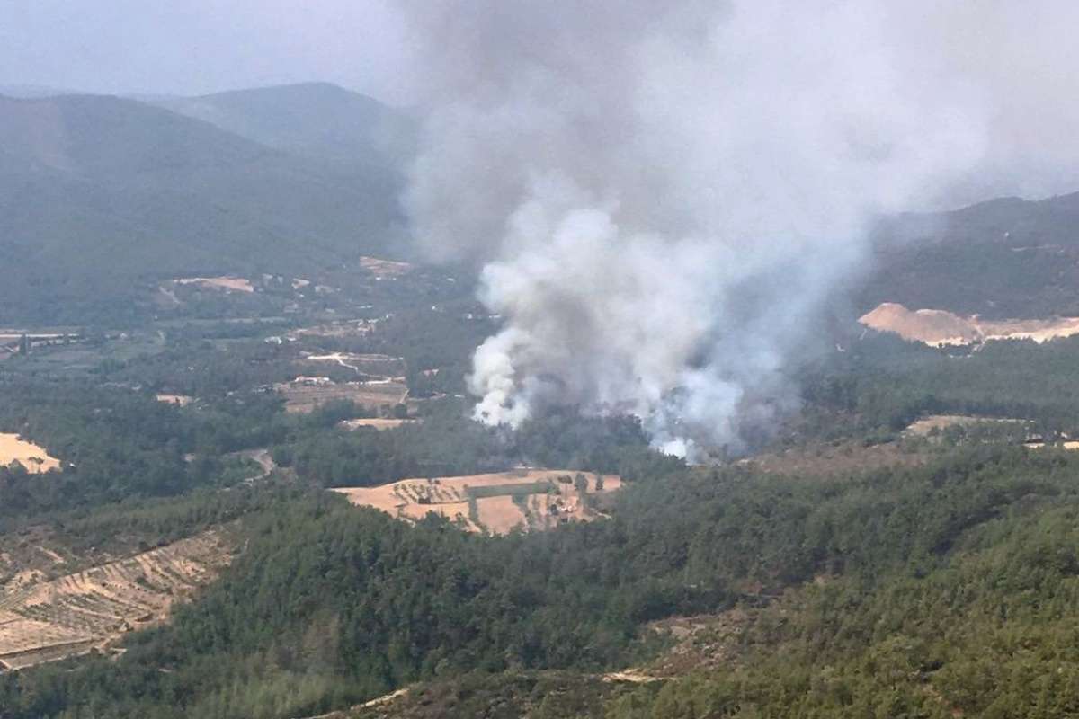 Muğla'da bir yangın daha çıktı