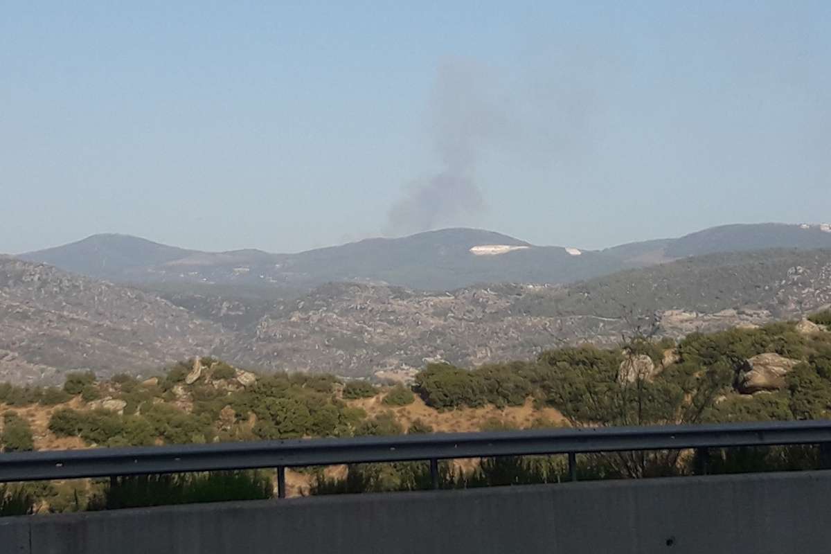 Muğla'da orman yangını