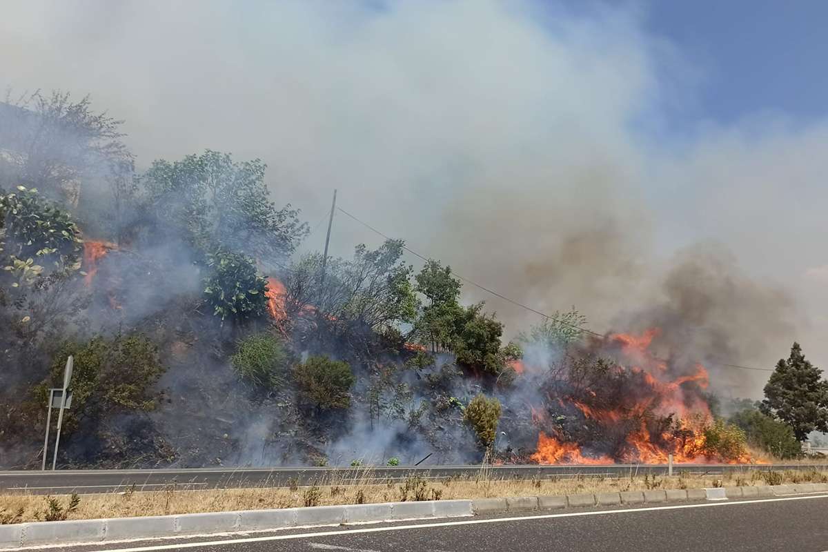 Muğla'da ormana sıçrayan yangın söndürüldü