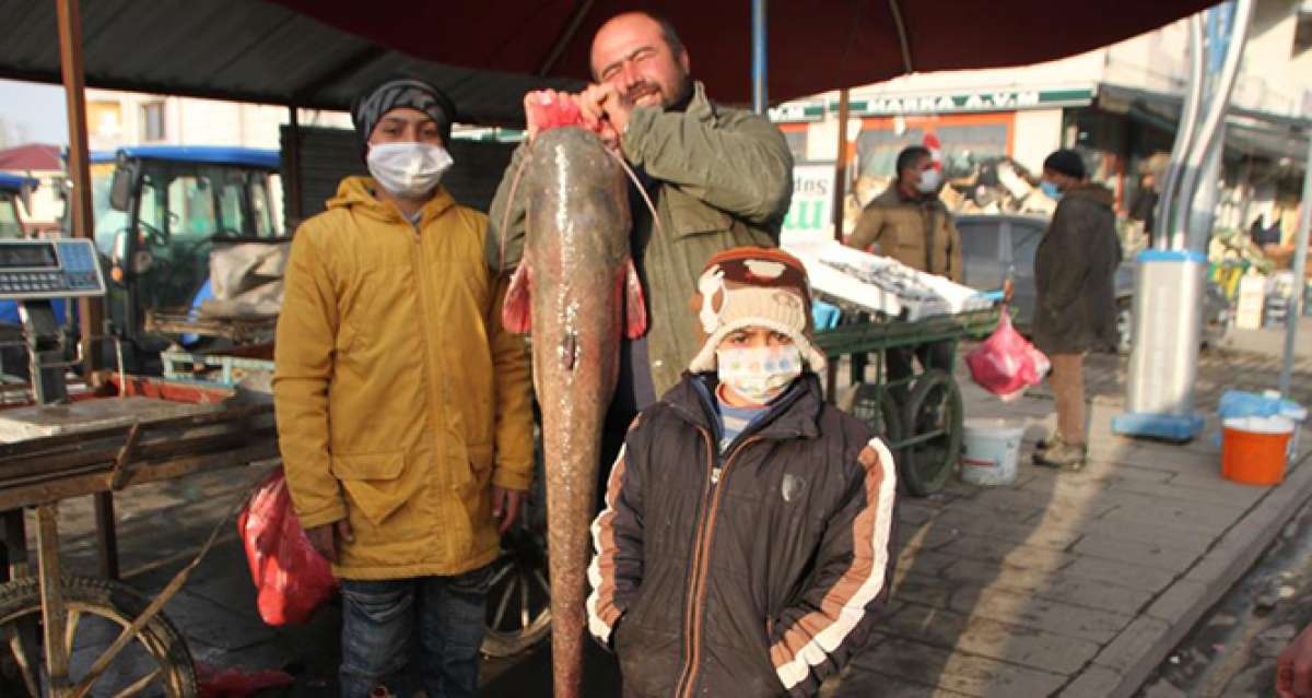 Murat Nehrinde 1,5 metre boyunda balık avladı