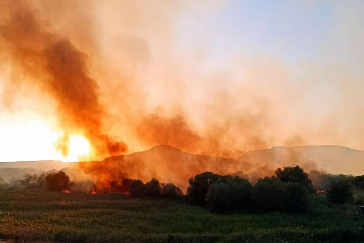 Nallıhan Kuş Cenneti'nde yangın