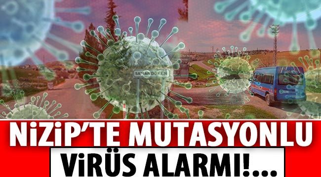 Nizip'te mutasyonlu virüs alarmı!...