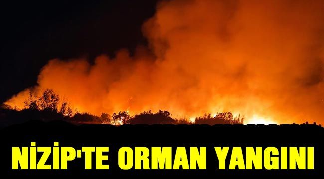 Nizip'te orman yangını 