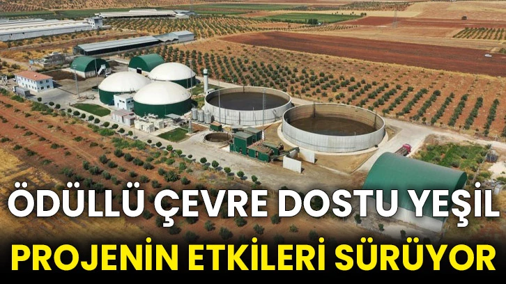 Ödüllü çevre dostu yeşil projenin etkileri sürüyor