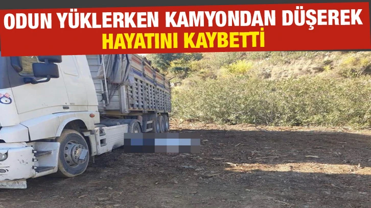 Odun yüklerken kamyondan düşerek hayatını kaybetti