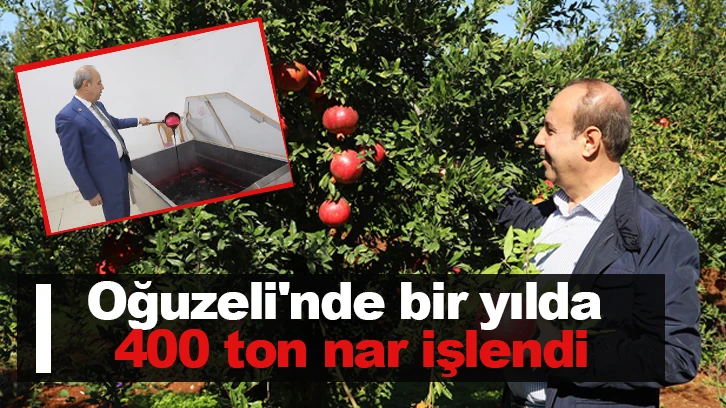 Oğuzeli'nde bir yılda 400 ton nar işlendi