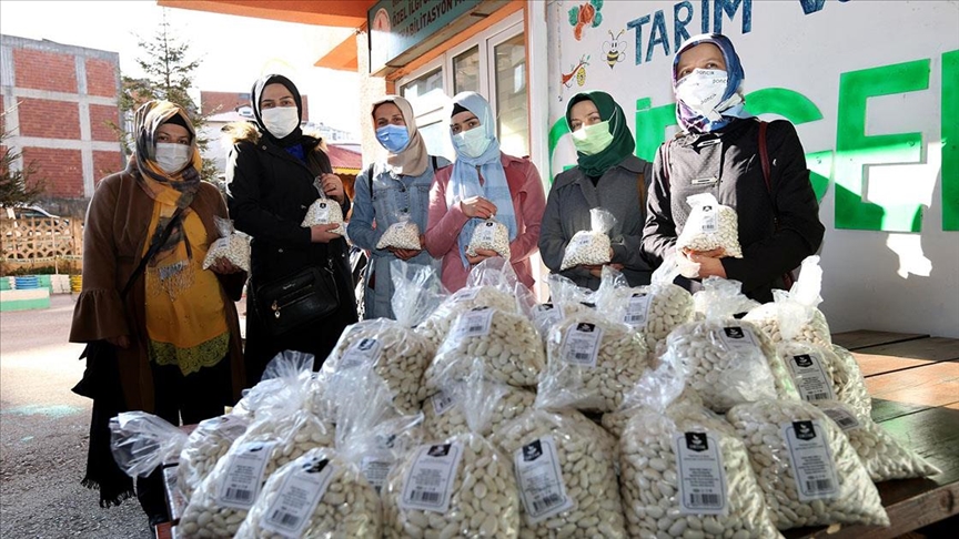 Ordu'da kadın çiftçilerin yetiştirdiği 8 ton çoban fasulyesini ORTAR satın aldı