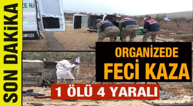 Organizede feci kaza