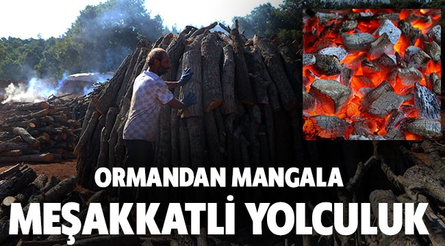 Ormandan mangala meşakkatli yolculuk