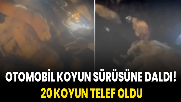 Otomobil koyun sürüsüne daldı! 20 koyun telef oldu