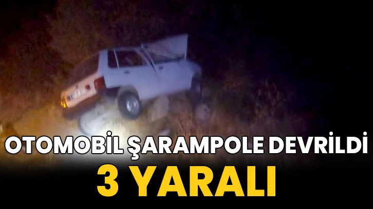 Otomobil şarampole devrildi: 3 yaralı