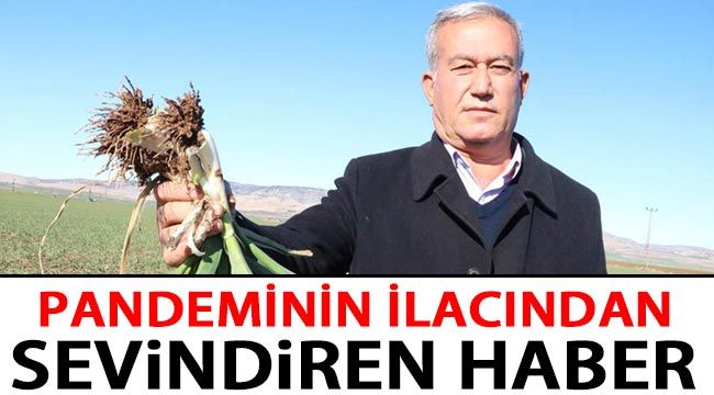 Pandeminin ilacından sevindiren haber 