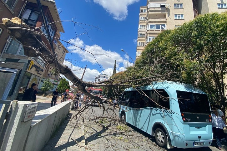 Pendik’te ağaç seyir halindeki minibüsün üzerine devrildi