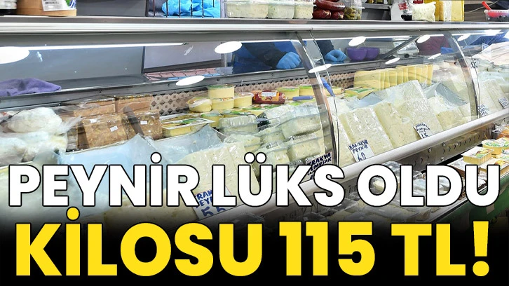 Peynir lüks oldu: Kilosu 115 TL!