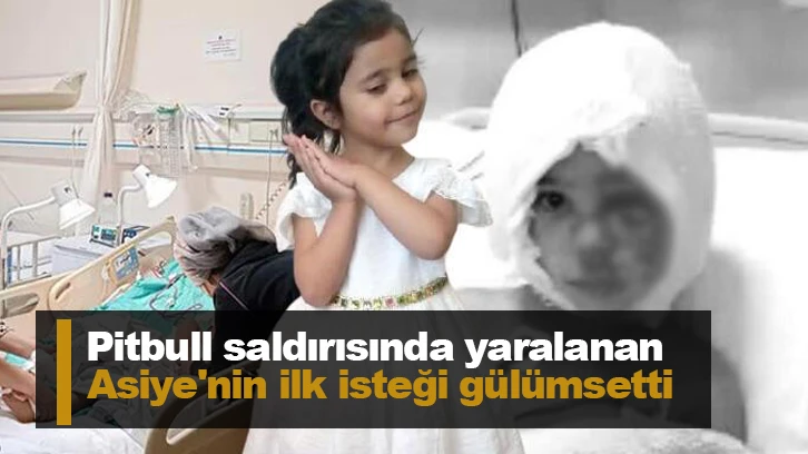 Pitbull saldırısında yaralanan Asiye'nin ilk isteği gülümsetti