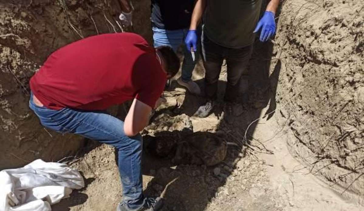 PKK içinde infazlar sürüyor!