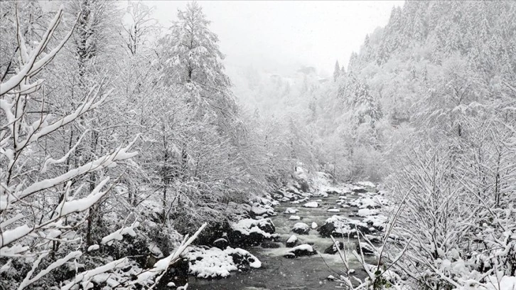 Rize ve Artvin çevrelerinde yoğun kar yağışı bekleniyor