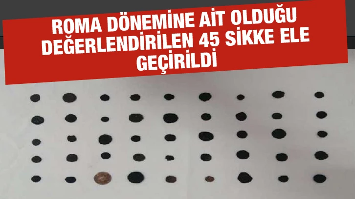 Roma dönemine ait olduğu değerlendirilen 45 sikke ele geçirildi