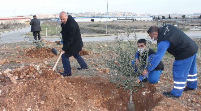 Royal Halı'dan yeşil vatana katkı