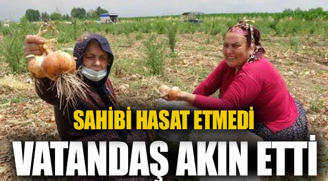 Sahibi hasat etmedi, vatandaşlar soğan tarlasına akın etti!