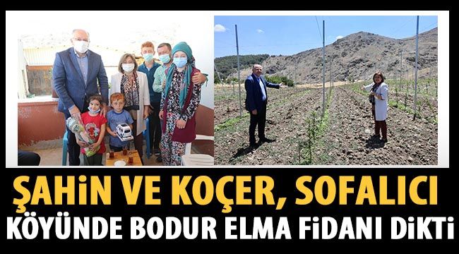 Şahin ve Koçer, Sofalıcı köyünde bodur elma fidanı dikti-