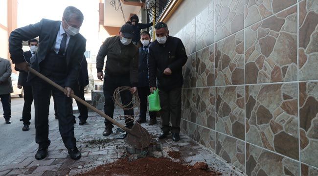 Şahinbey’de 5 bin adet asma fidanı dikildi