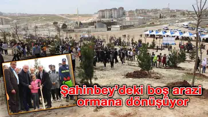 Şahinbey’deki boş arazi ormana dönüşüyor