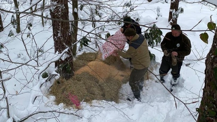 Sakarya ve Düzce'de hayvanlar için doğaya yiyecek bırakıldı