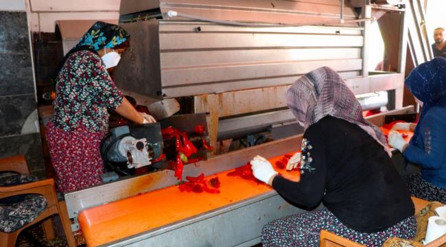 Salça imalathanelerinde yoğun mesai 