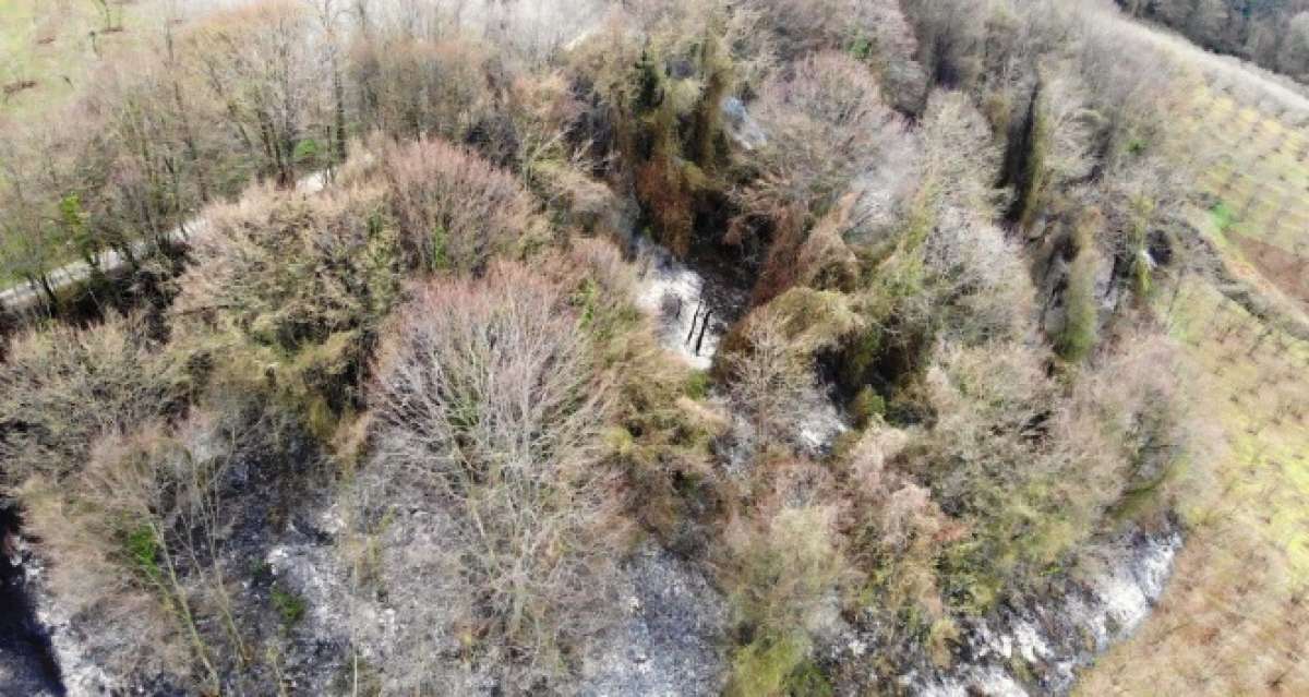 Samsun'da ormanlık alanda yangın