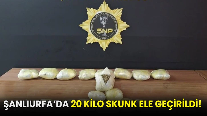 Şanlıurfa’da 20 kilo skunk ele geçirildi!